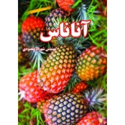 کتاب آناناس ، شهرام مقصودی ، انتشارات آقای کتاب