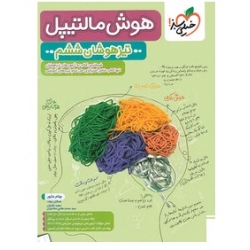 کتاب هوش مالتیپل ششم دبستان خیلی سبز ، بهنام بناپور ، نشر خیلی سبز