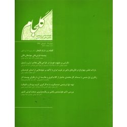 فصلنامه شماره 19 فرش ایران ( گلجام - آشوری - آیت اللهی ) انجمن علمی فرش ایران