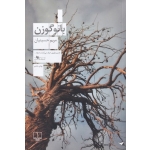 کتاب بانو گوزن ، مریم حسینیان ، انتشارات چشمه