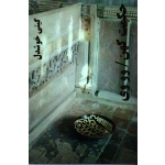 حکمت کهن ( وو وی - گیتی خوشدل - نشر پیکان)