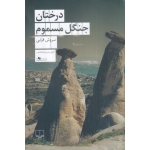 کتاب درختان جنگل مسموم ،  سروش قرایی ، انتشارات چشمه