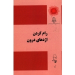 رام کردن اژدهای درون ( مقصودی - نشر آقای کتاب )