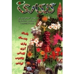 گلکاری ، اسماعیل پیش بین ، نشر آییژ (بیران)