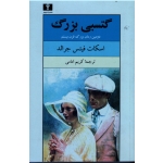 کتاب گتسبی بزرگ ، اسکات فیتس جرالد ، کریم امامی ، انتشارات نیلوفر (#)