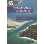 کتاب رسوبات چسبنده در کانال های باز ، خواص انتقال و کاربردها ، نشر دانشگاه سمنان (#)