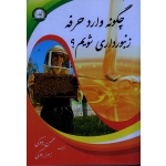 چگونه وارد حرفه زنبورداری شویم ؟(بلوکی / نشر ترویج )