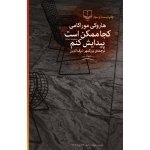 کتاب کجا ممکن است پیدایش کنم ، هاروکی موراکامی ، شرف الدین ، نشر چشمه