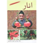 انار ( مقصودی ، نشر آقای کتاب )
